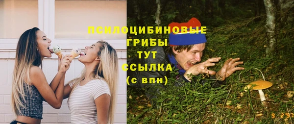 синтетический гашиш Протвино