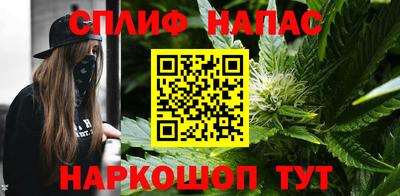 дживик Волжск