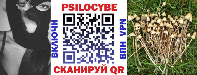 наркота  Балабаново  Галлюциногенные грибы Magic Shrooms 