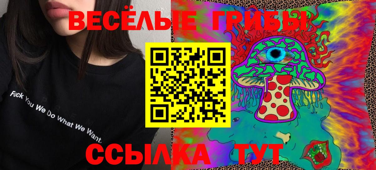 Псилоцибиновые грибы GOLDEN TEACHER Балабаново