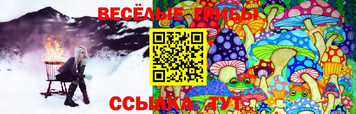 Псилоцибиновые грибы Magic Shrooms  Балабаново 